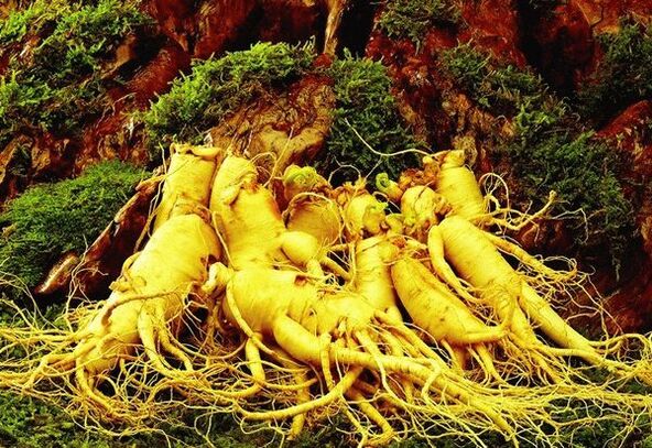 Natural drugs for efficiency