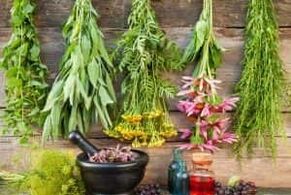 Folk medicines to increase efficiency