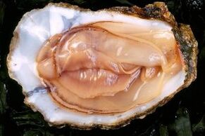 Oysters are a strong sexual desire stimulant